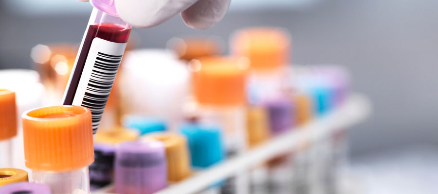 Department of Haematology