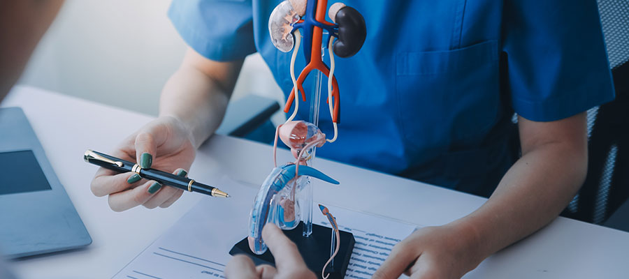 urologist in siliguri